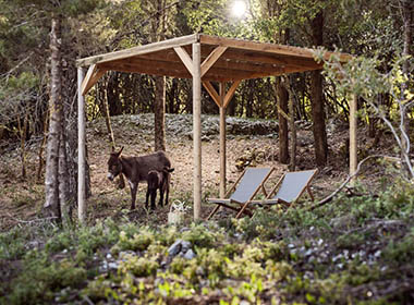 Gyri - Alkis Farm and Residence Photo 4