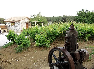 Agios Sostis,Lithakia, Zante, Zakynthos - Alomata Villas Photo 2
