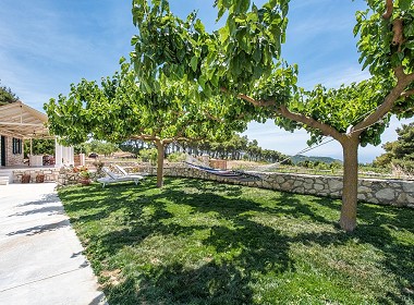 Agalas Zakynthos - Anastasia Villa Foto 10