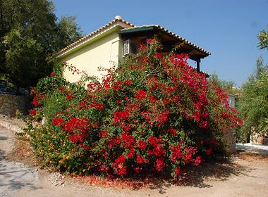 Marathias, Keri, Zante, Zakynthos - Andreas Houses Photo 4