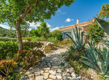 Askos,Volimes, Zakynthos - Askos Villa Photo 5