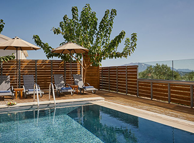 Mouzaki - Azor Villas Photo 5