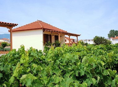 Drosia Beach - Kipseli, Zakynthos,Zante - Beach Bungalows Foto 5