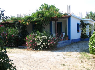 Ag.Sostis, Lithakia, Zante, Zakynthos - Beate Houses & Apartments Photo 1