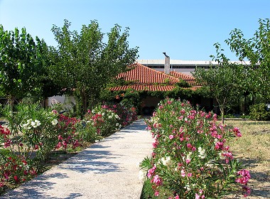 Ag.Sostis, Lithakia, Zante, Zakynthos - Beate Houses & Apartments Photo 3