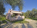 Danny`s Holiday House - Ampelokipi Zante Greece