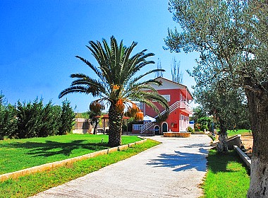 Alykanas Alykes Zakynthos Zante - Eleni Studios & Apartments Foto 4