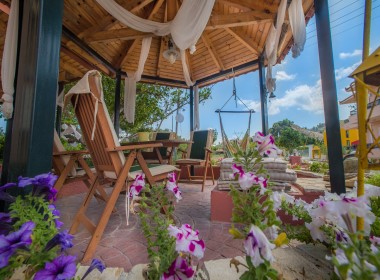 Zante Town - Zakynthos-Greece - Filoxenia Studios Apartments Photo 5