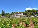 Fterini Apartments - Agios Leontas Закинфе Греция