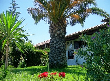 Tsilivi, Zante, Zakynthos - Glavas Studios Apartments Photo 4