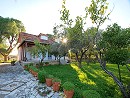Ilenias House - Laganas Закинфе Греция
