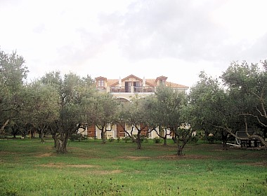 Kavos - Psarou Beach Meso Gerakari, Zakynthos - Kavos Psarou Studios & Apartments фото 9