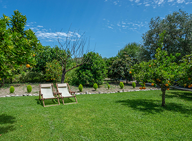 Kipoi, Zakynthos - Kipi Village Photo 12