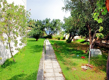 Kipseli, Zakynthos - Mouzakis Apartments Foto 11