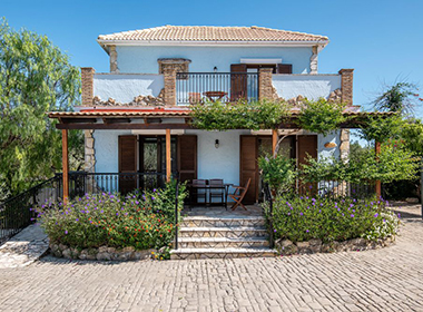 Drosia, Kypseli - Olive Tree Villas Foto 3