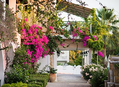 Kalamaki, Zakynthos - Sofias Hotel Foto 6