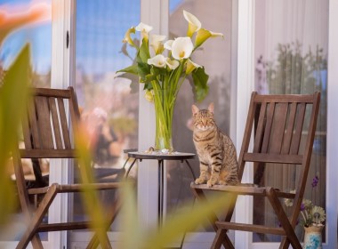 Drosia, Zakynthos, Greece - Sweet Cottage Retreat Photo 13