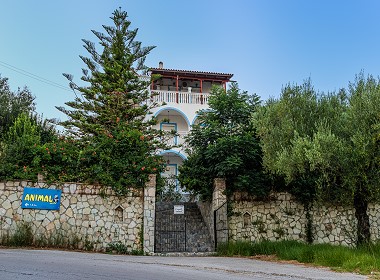 Laganas - Zante Island Zakynthos - Tassos & Marios Apartments Foto 3