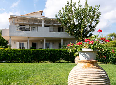 Laganas Zakynthos - Tesys Studios & Apartments Photo 2