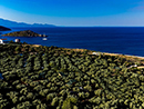 Thalassa Green - Agios Nikolaos Zacinto Grecia
