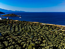 Thalassa Green - Agios Nikolaos Zante Greece