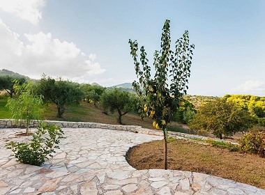 Vasilikos, Zakynthos - Villa Ampeli Foto 11