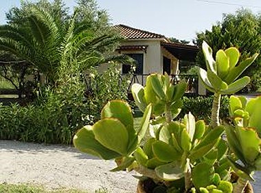 Vassilikos,Zante,Zakynthos - Casa Due House Photo 3