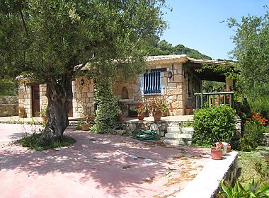 Vassilikos, Zante, Zakynthos - Villa Collina Photo 1