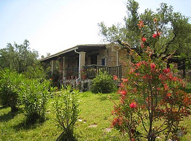 Vassilikos, Zante, Zakynthos - Villa Collina Photo 2