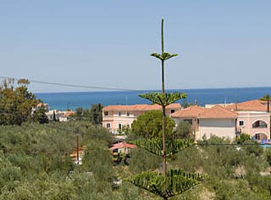 Argassi, Zante, Zakynthos - Villa Denise Foto 2