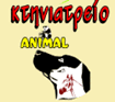 Zakynthos Zante Anials - Pet Shop Veterinarian