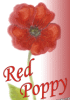 Red Poppy Bar Laganas Zakynthos