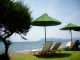 Dafni - Zante Zacinto Grecia