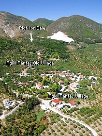 Agioi Pantes, Galaro, Zante -  Photo 3