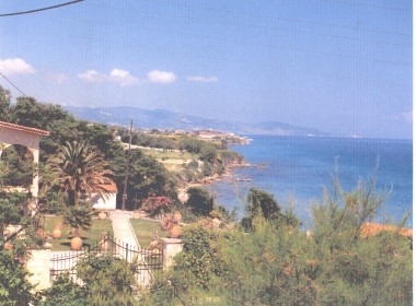 Tragaki, Zakynthos -  Photo 2